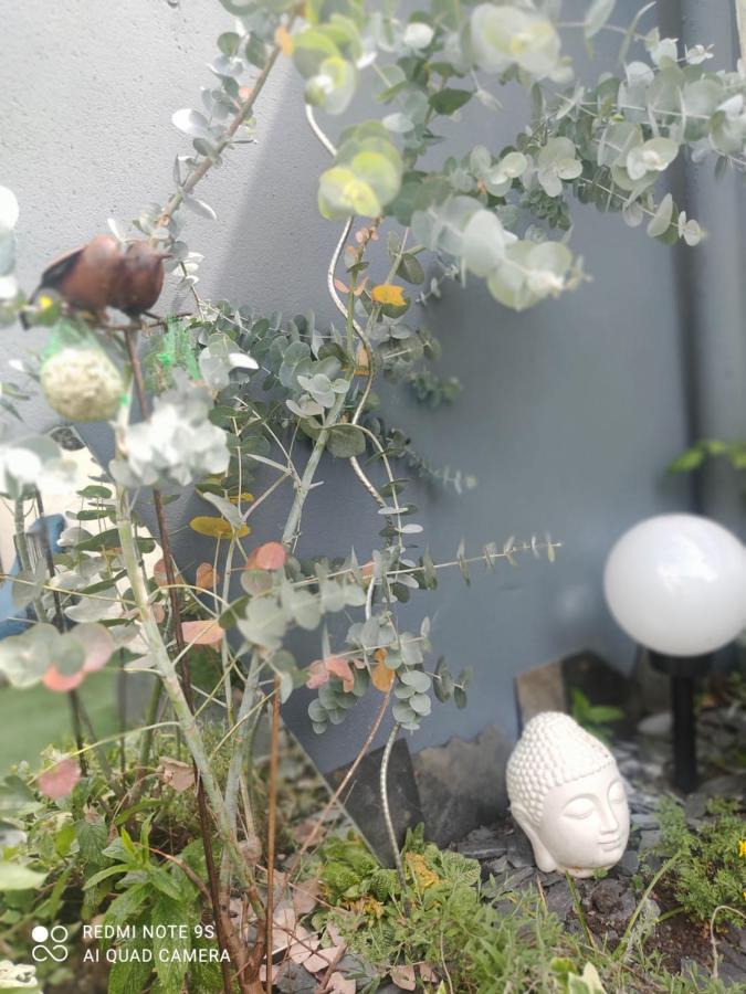 Le Cocon Des Hortillonnages D'Amiens Camon  Dış mekan fotoğraf
