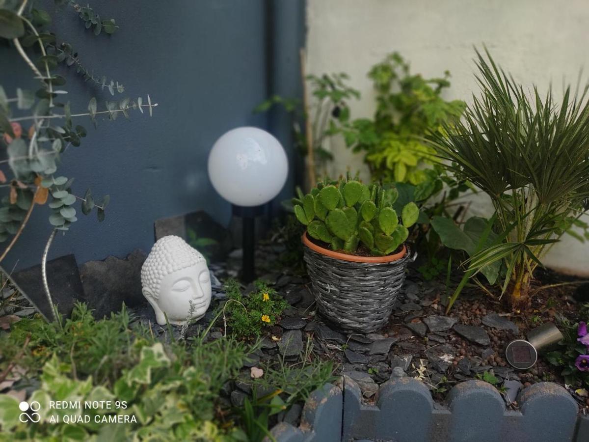 Le Cocon Des Hortillonnages D'Amiens Camon  Dış mekan fotoğraf