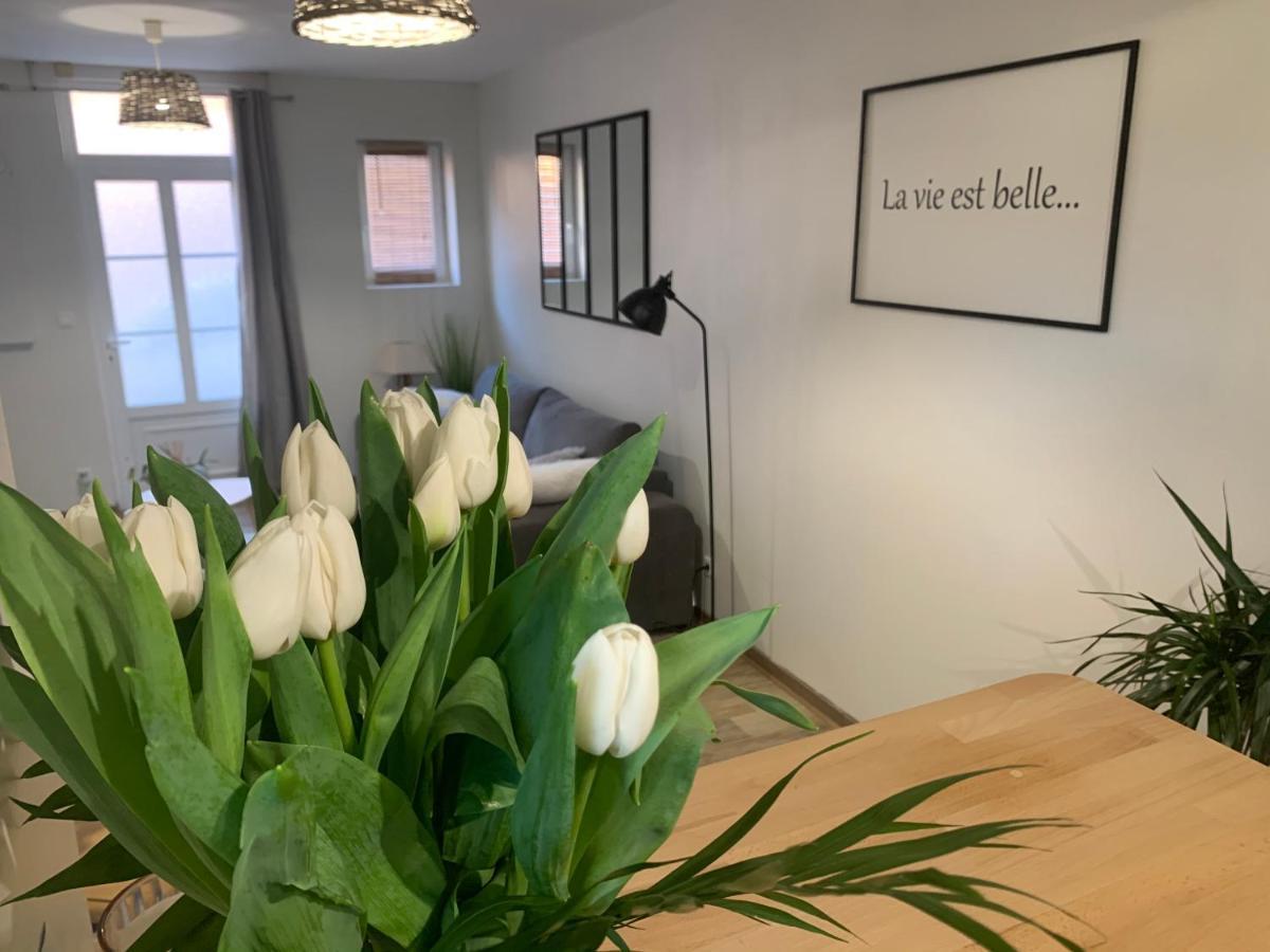 Le Cocon Des Hortillonnages D'Amiens Camon  Dış mekan fotoğraf