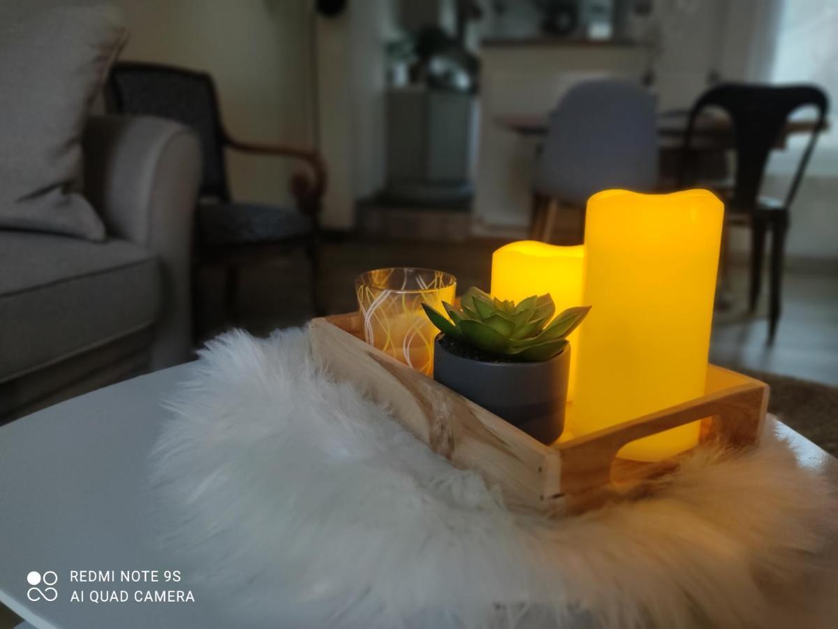 Le Cocon Des Hortillonnages D'Amiens Camon  Dış mekan fotoğraf