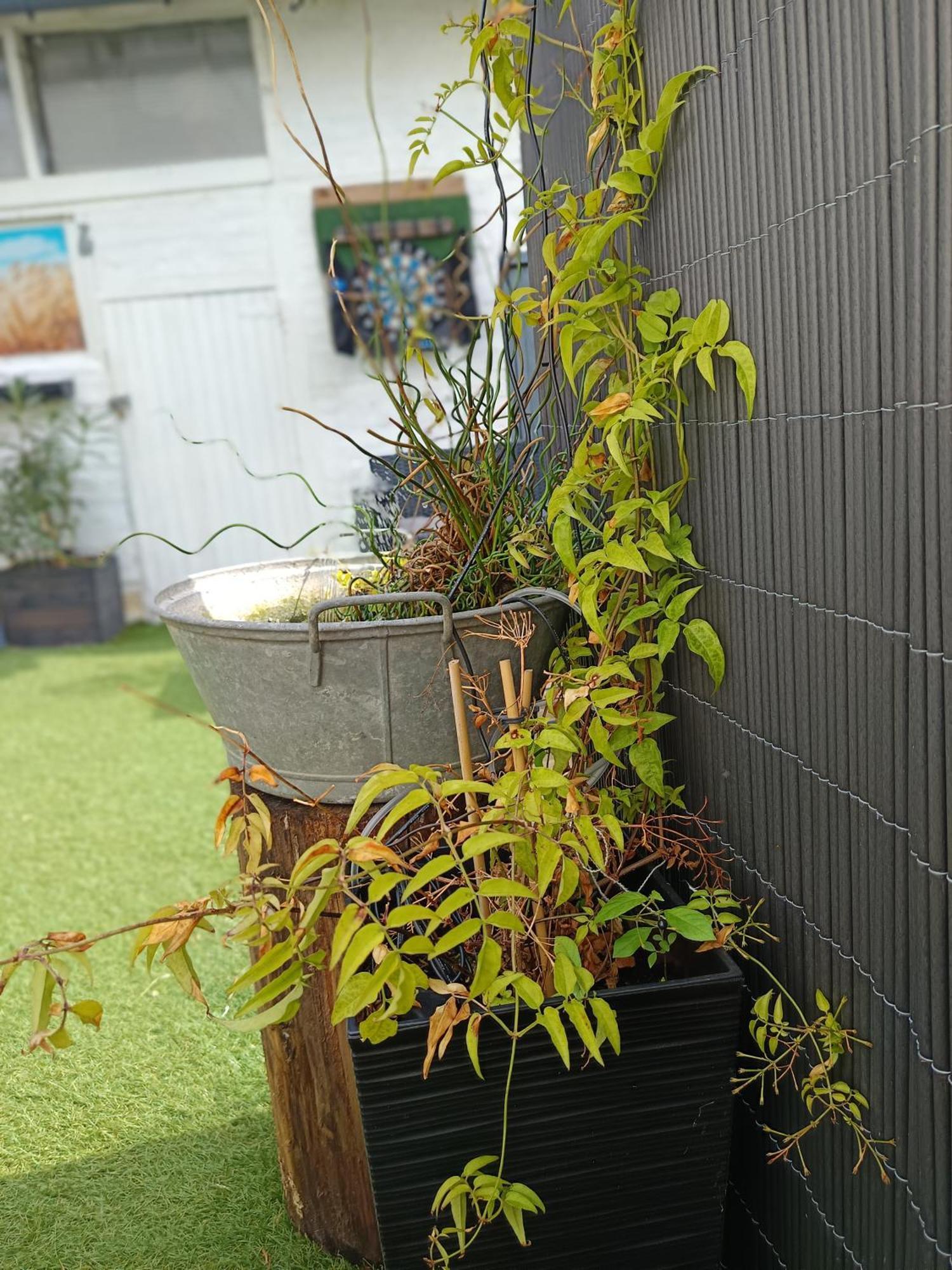 Le Cocon Des Hortillonnages D'Amiens Camon  Dış mekan fotoğraf